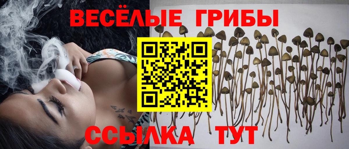 Галлюциногенные грибы MAGIC MUSHROOMS Бийск