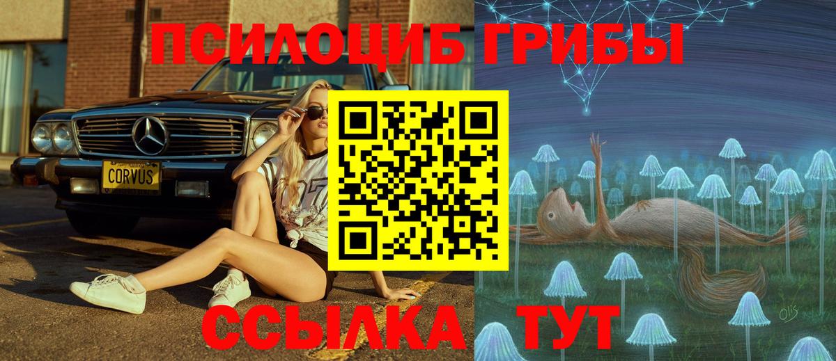 закладка  Галлюциногенные грибы Magic Shrooms  Вход с VPN  Бийск 